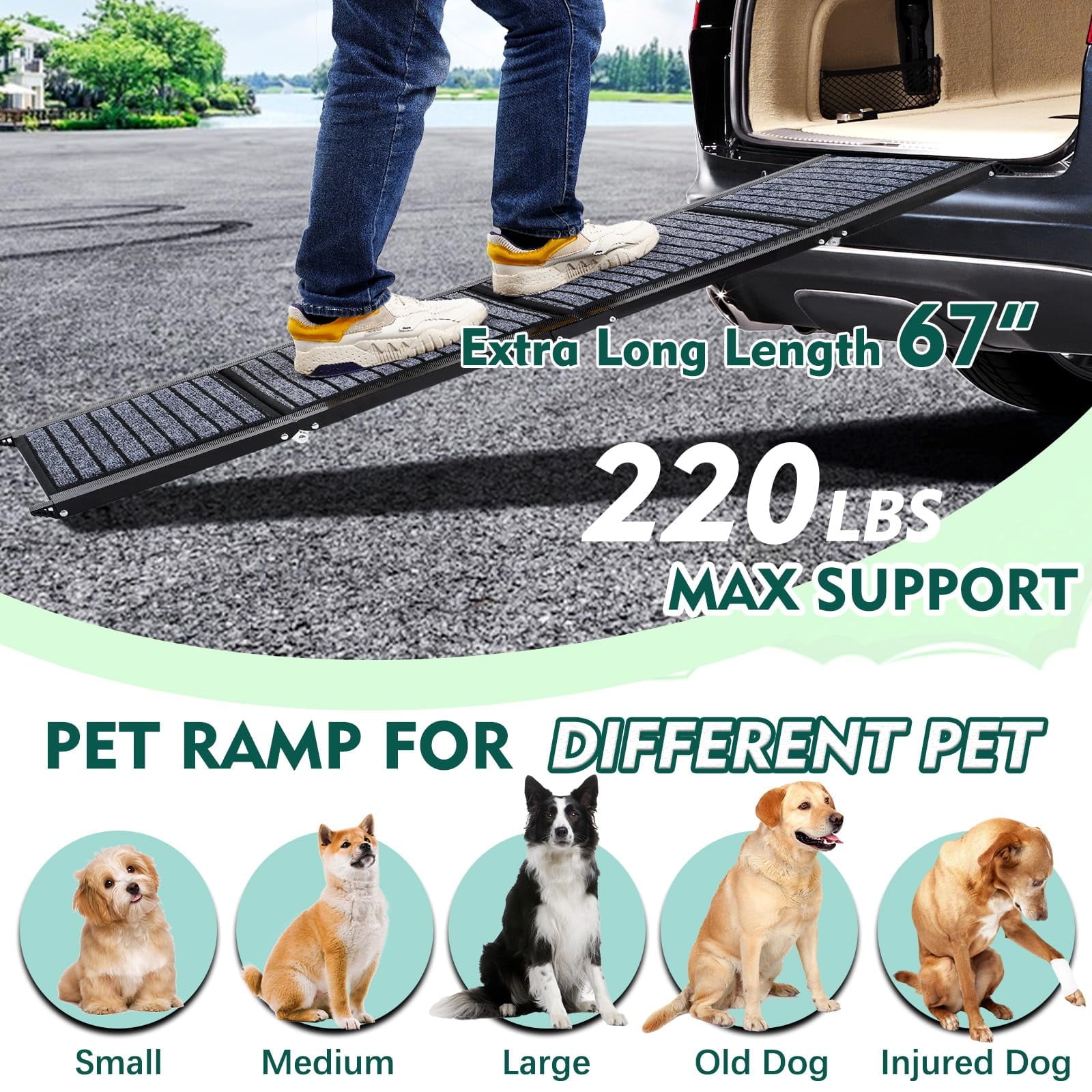 Furggis 67" Foldable Dog Ramps for Large Dogs, Dog Car Ramp with Non-Slip Rug Surface, Pet Ramp Stairs Portable,Dog Steps for Medium & Large Dogs up to 220 LBS Get into a Car, SUV & Truck