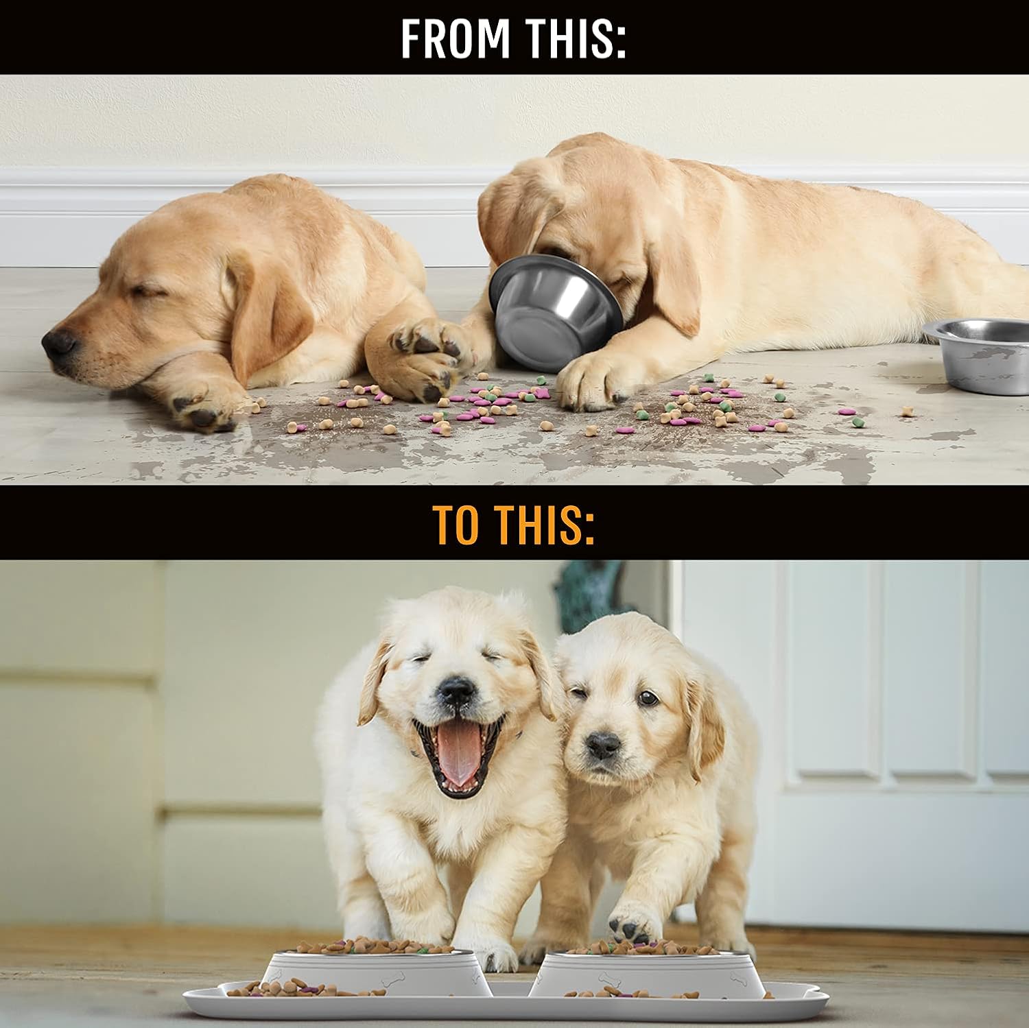 Stainless Steel Dog Bowl Set with Skid-Resistant Silicone Mat - No Spill, Mess-Proof Design for Small to Large Dogs
